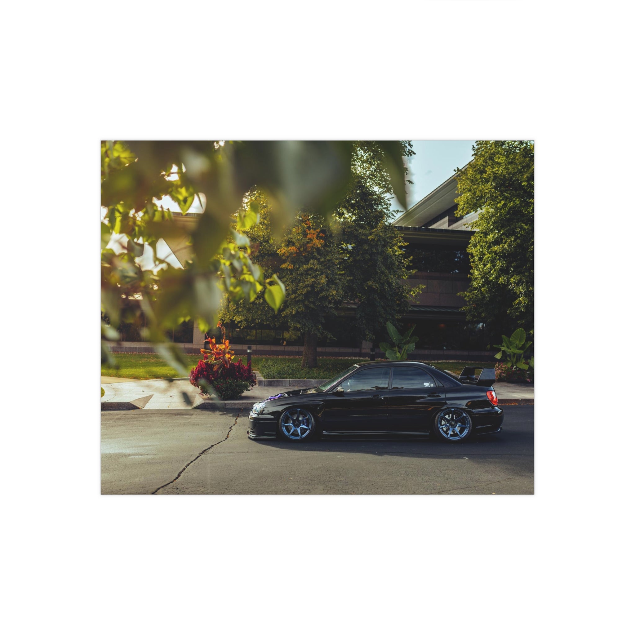 Wirtz STI