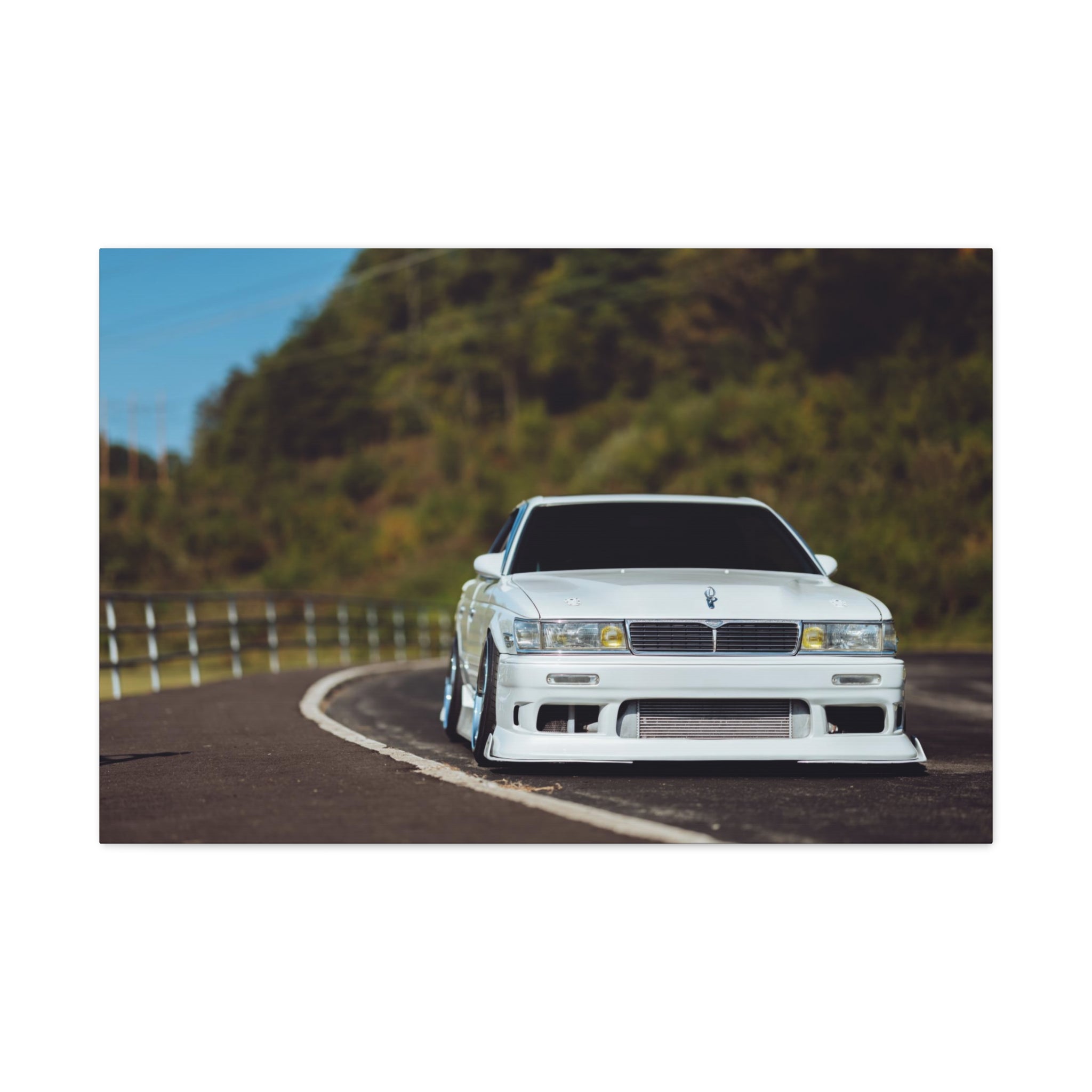 Richy's Laurel Canvas