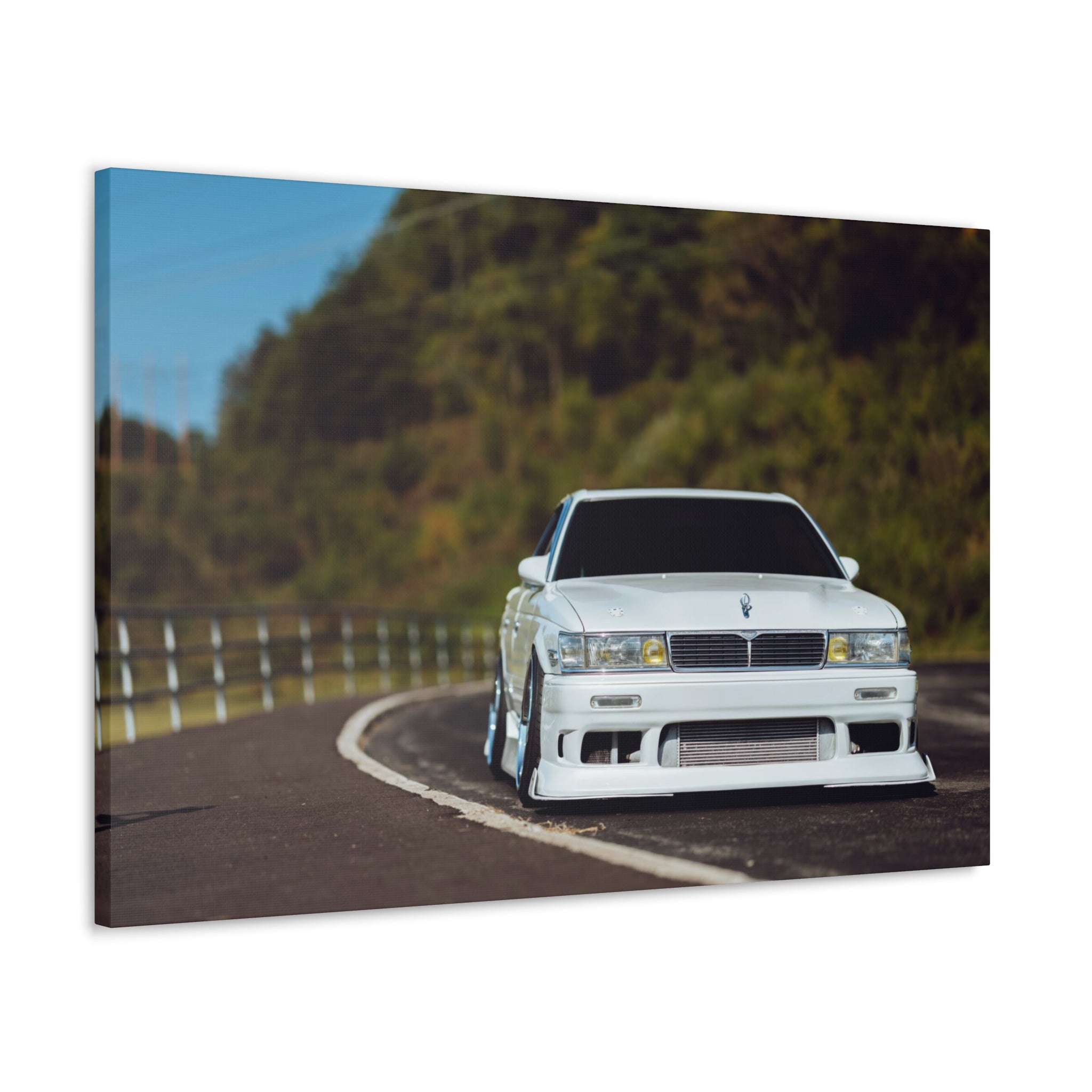 Richy's Laurel Canvas