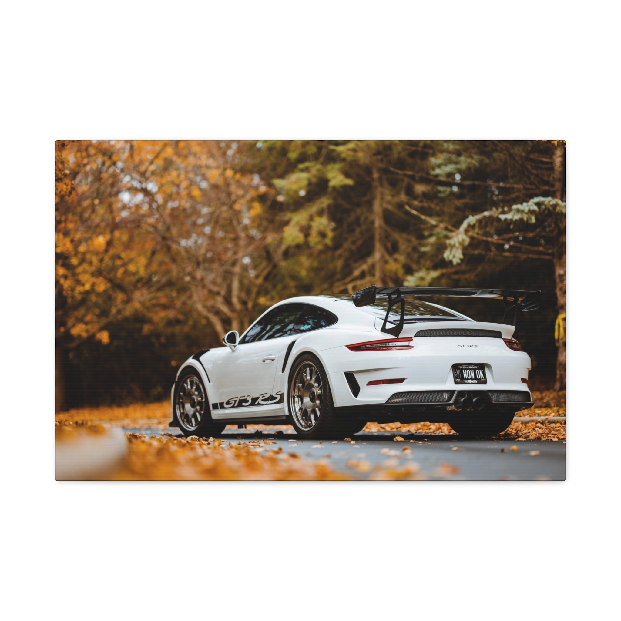 Porsche 991 GT3RS Weissach Canvas