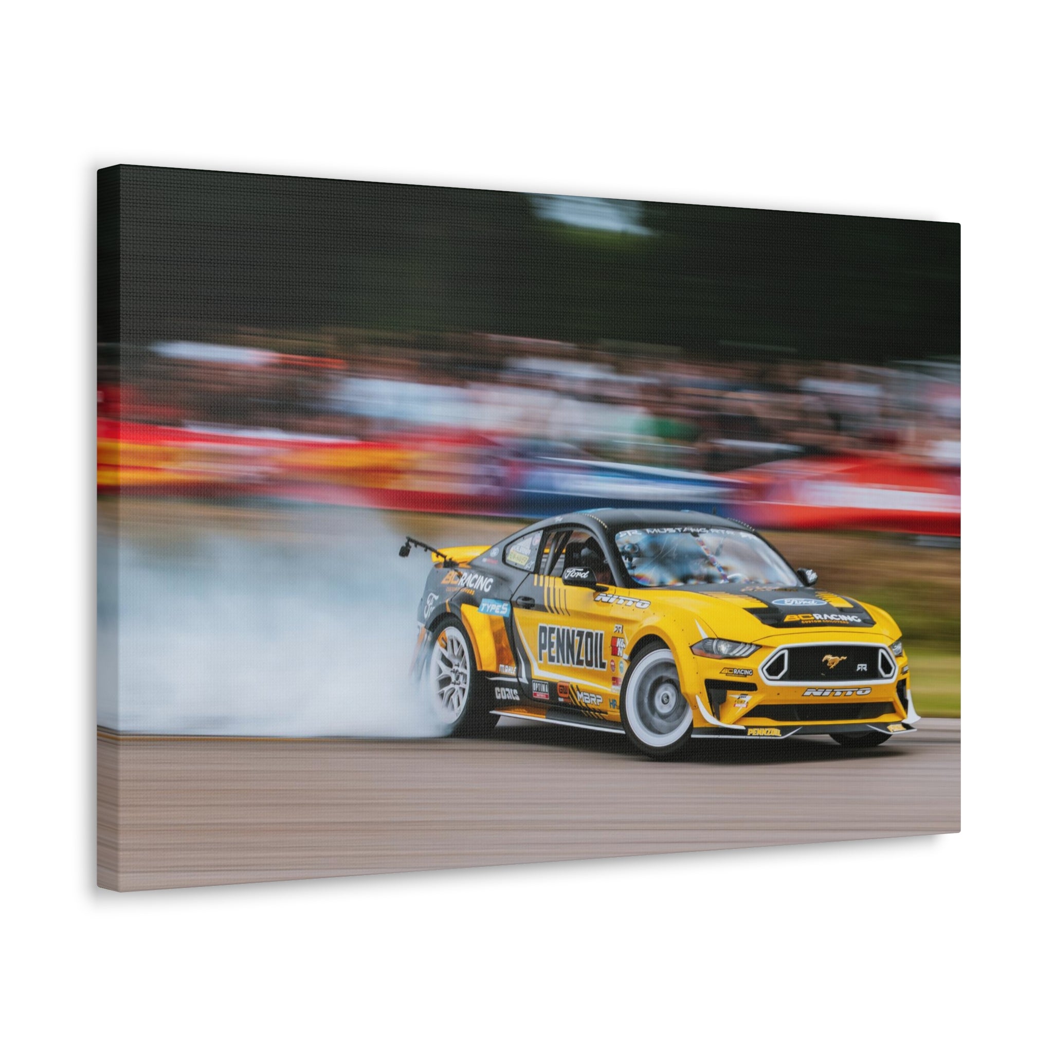 Chelsea DeNofa's RTR Mustang - Gingerman Raceway
