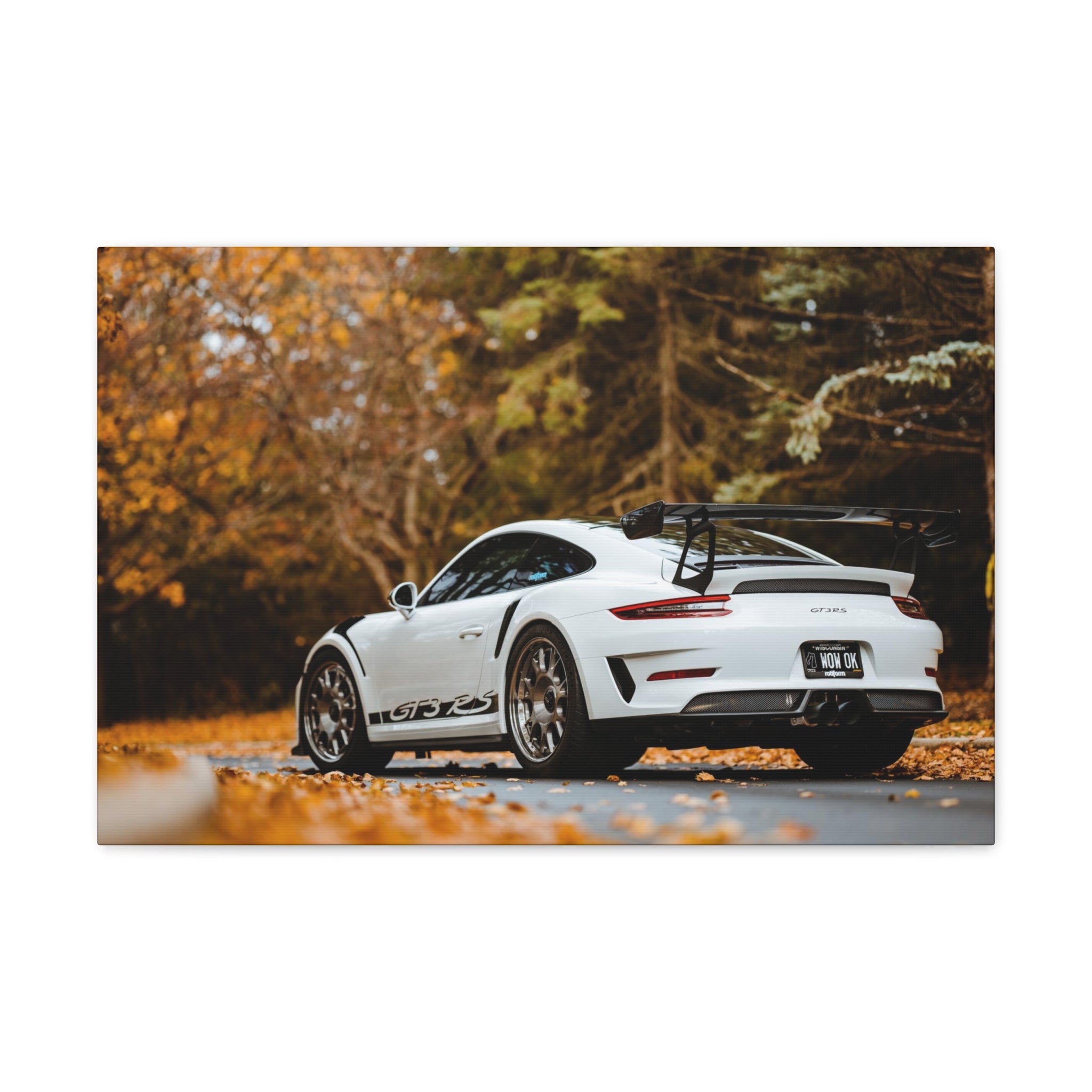 Porsche 991 GT3RS Weissach Canvas