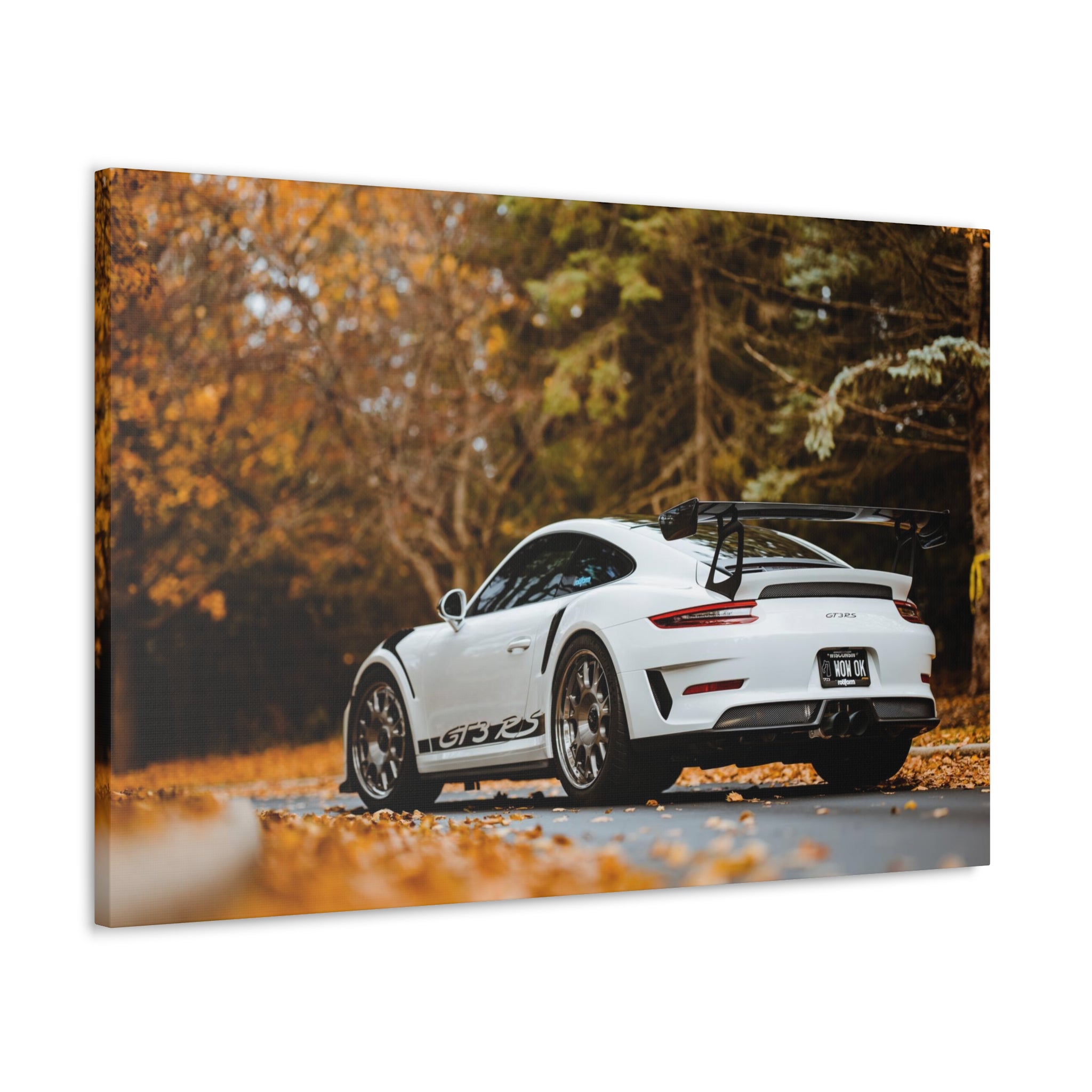 Porsche 991 GT3RS Weissach Canvas