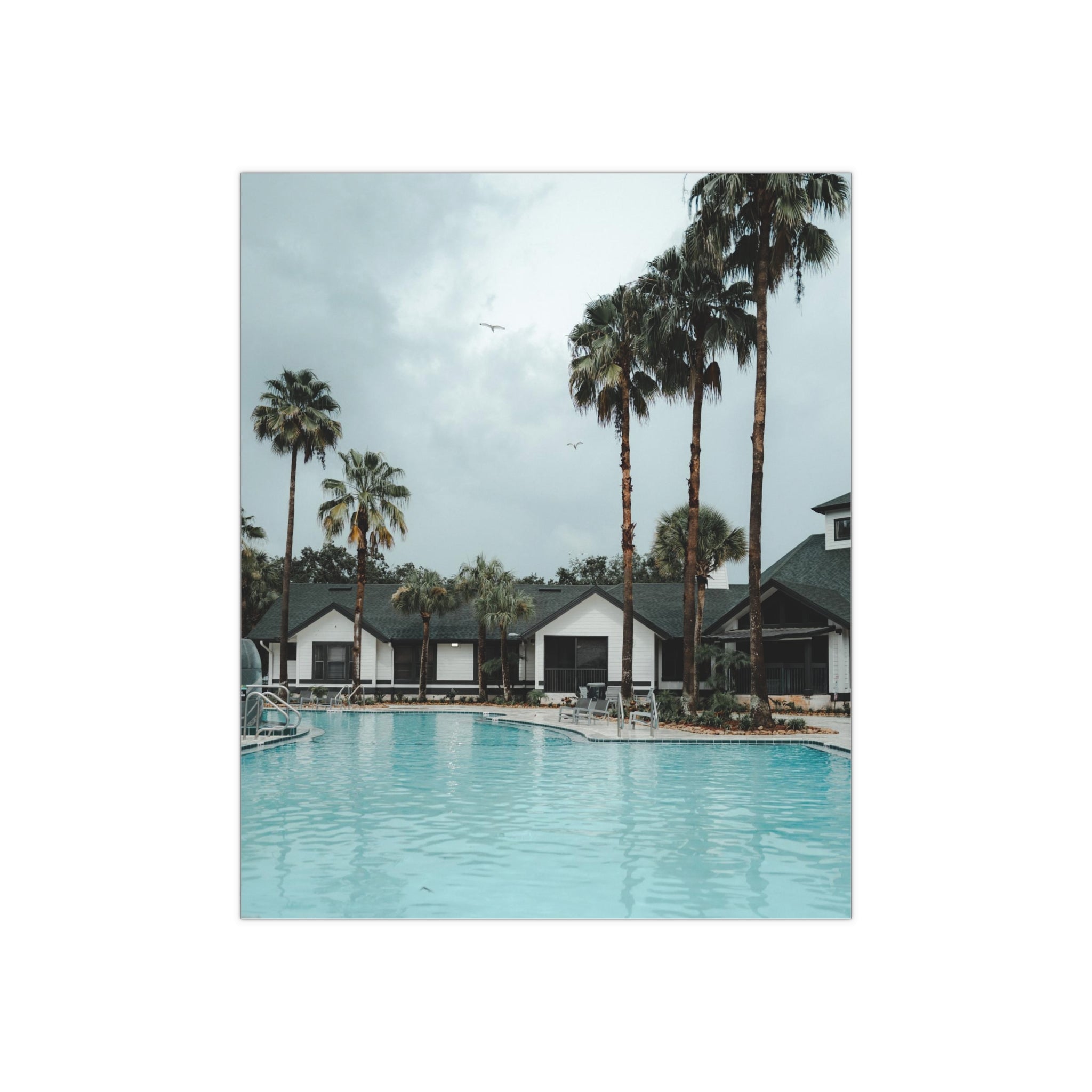 Poolside - Tampa