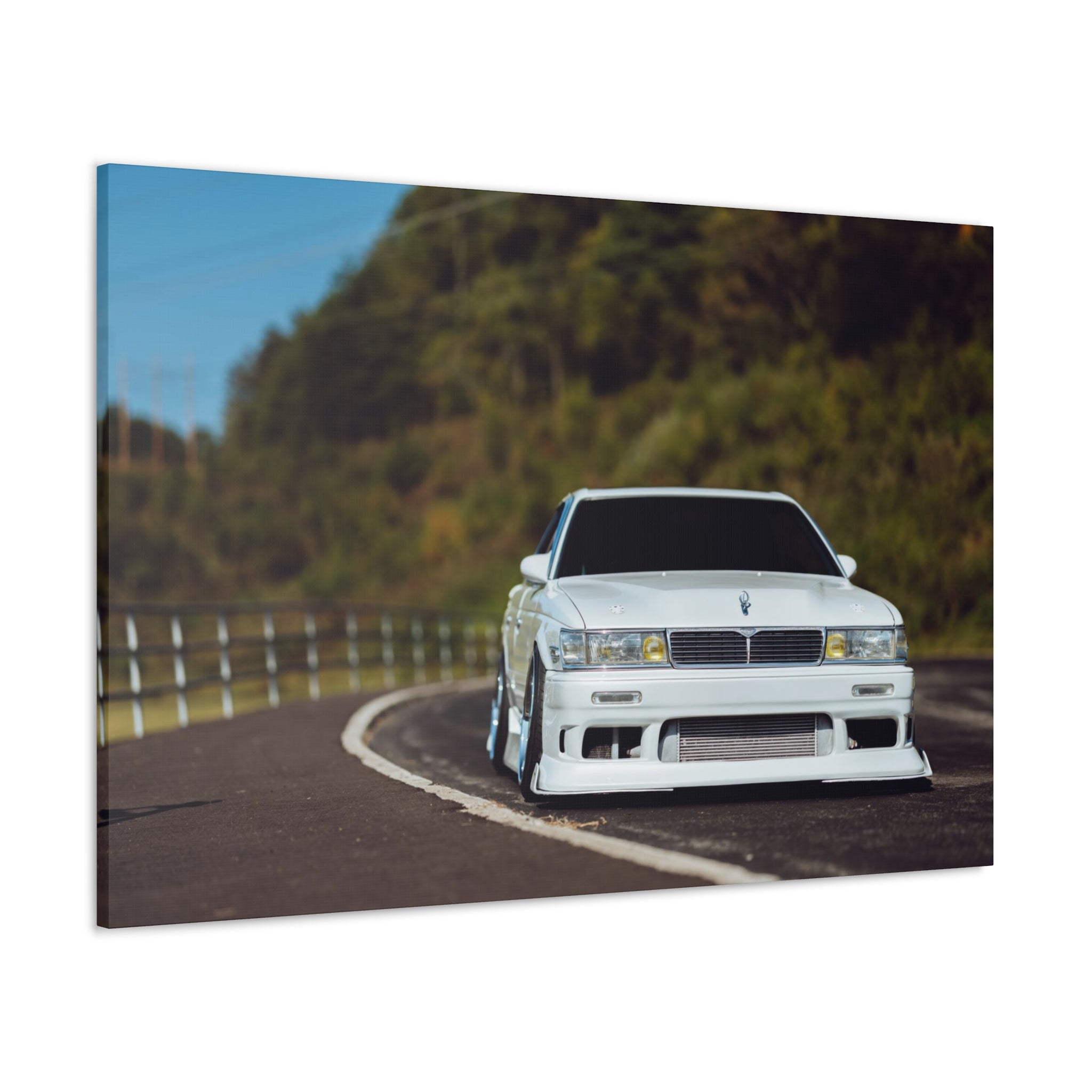 Richy's Laurel Canvas