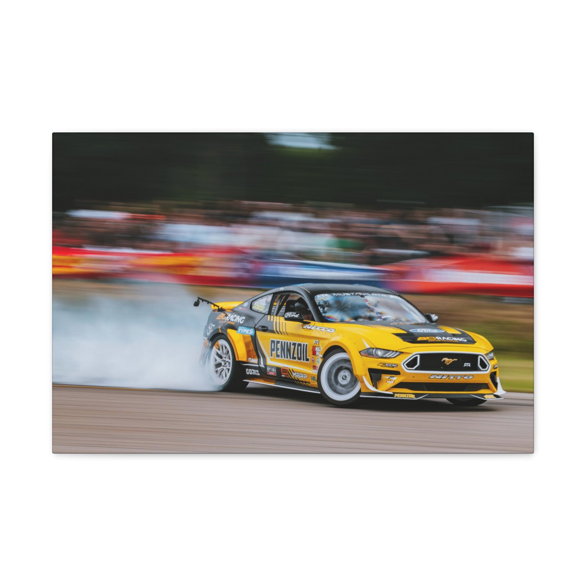 Chelsea DeNofa's RTR Mustang - Gingerman Raceway