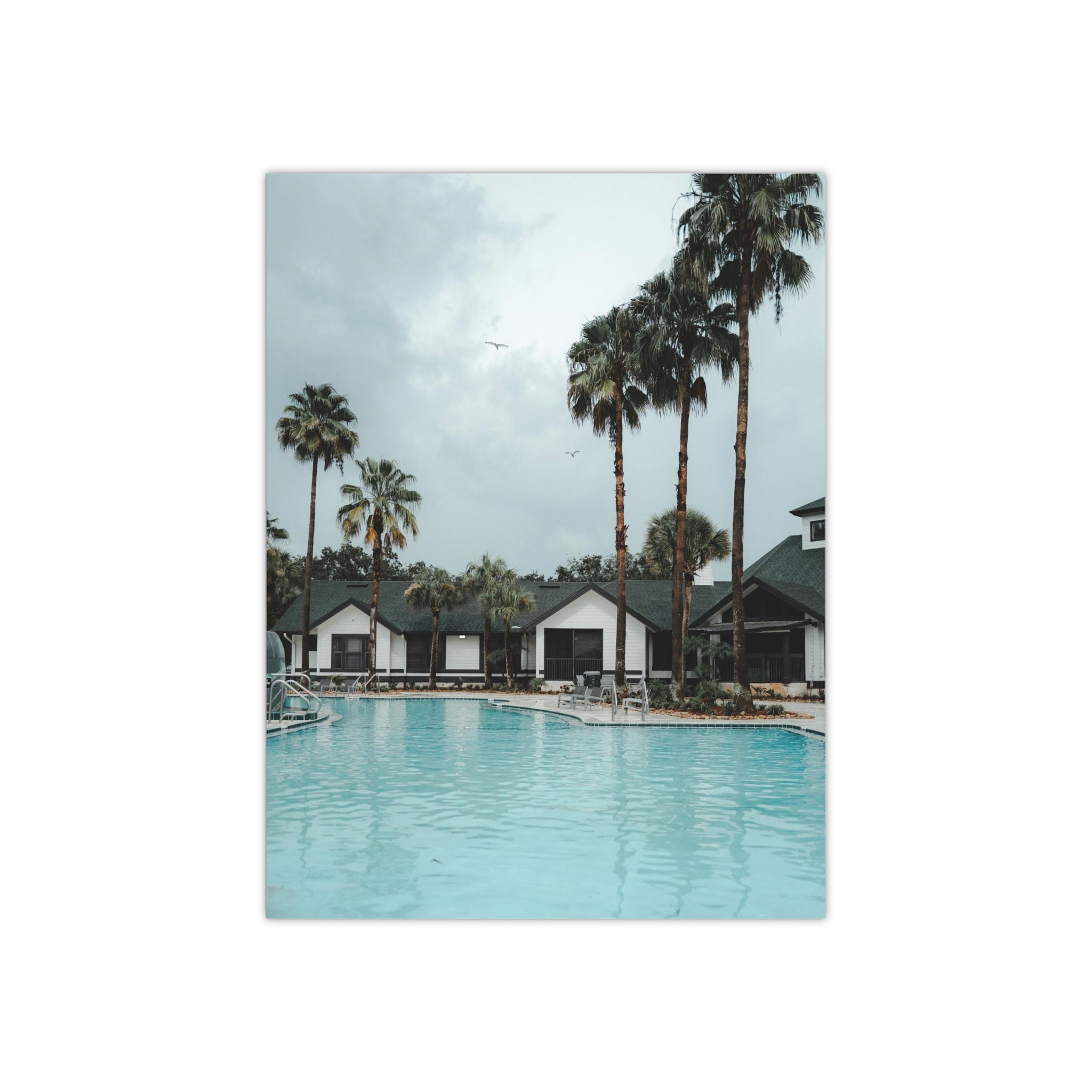 Poolside - Tampa