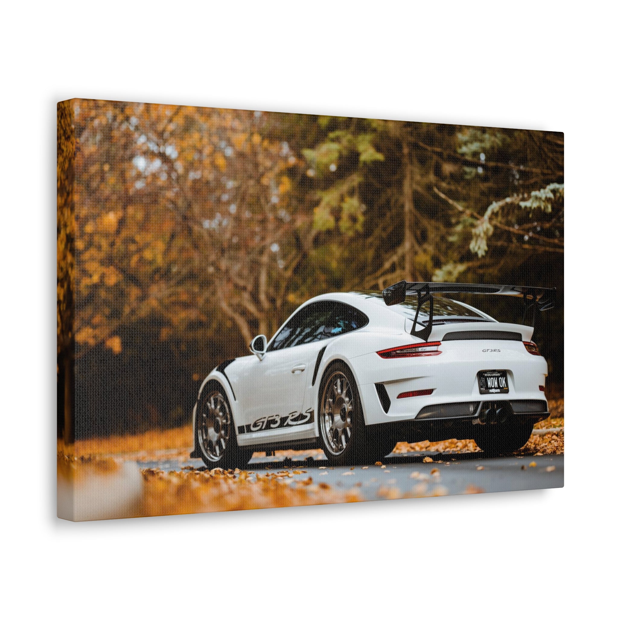 Porsche 991 GT3RS Weissach Canvas