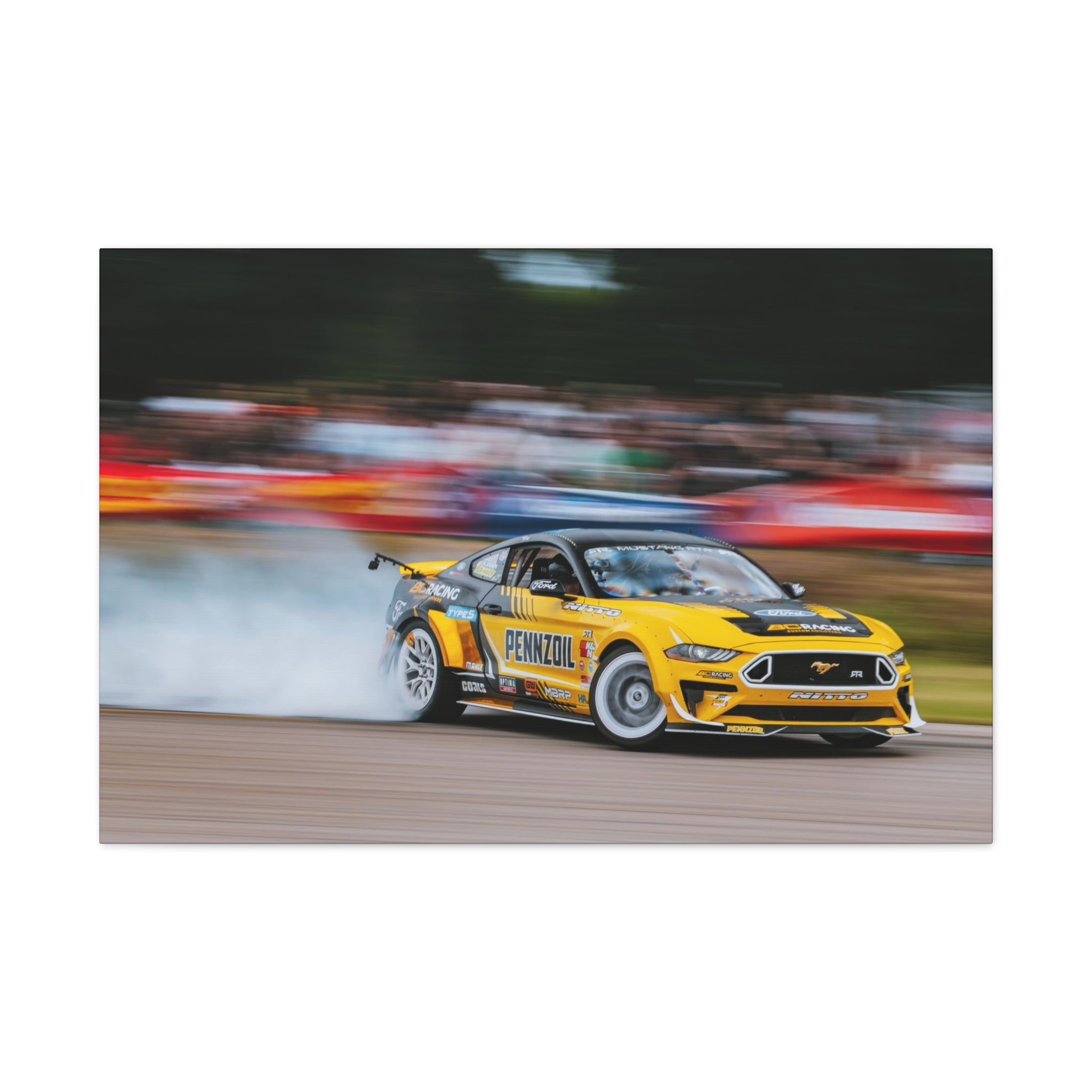 Chelsea DeNofa's RTR Mustang - Gingerman Raceway