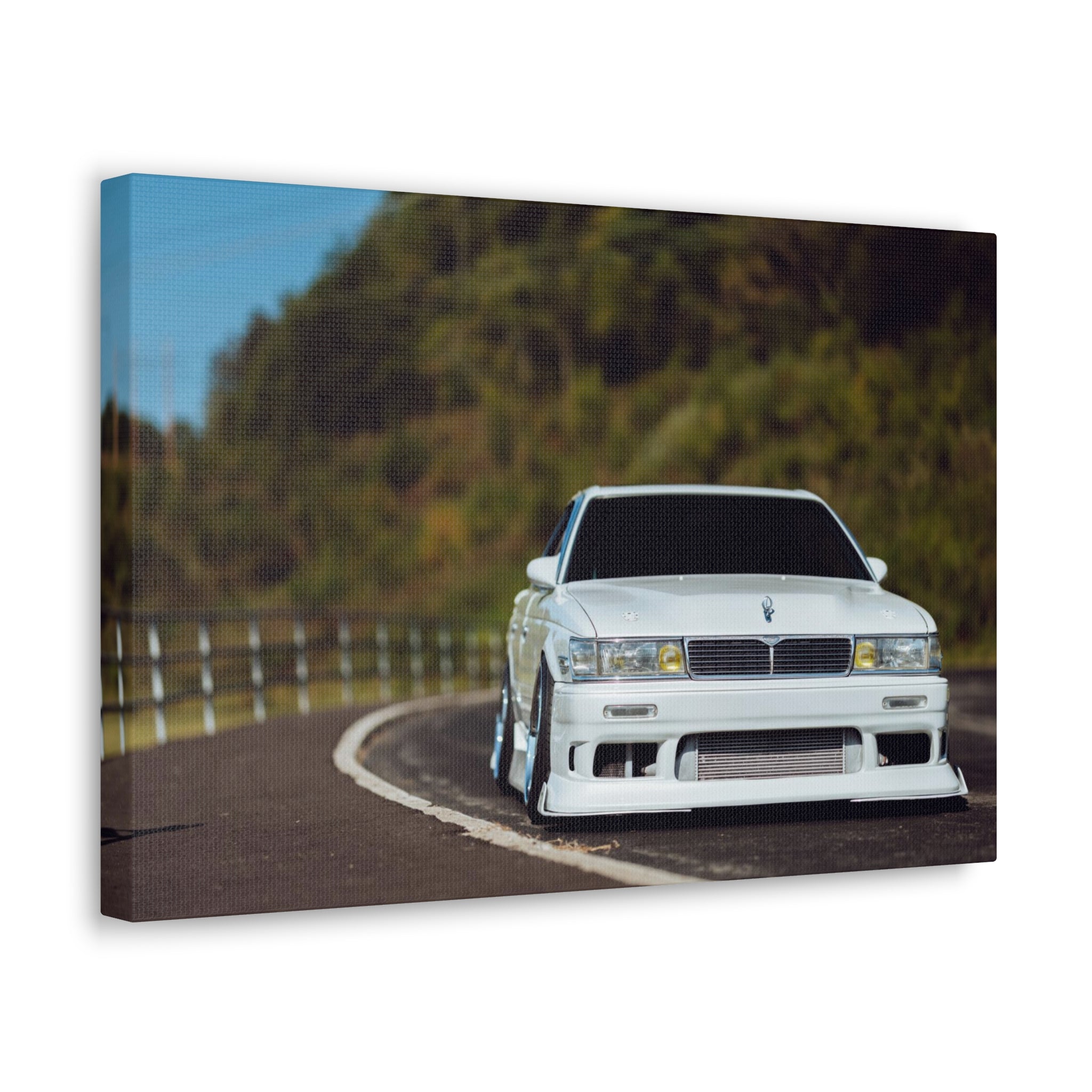 Richy's Laurel Canvas