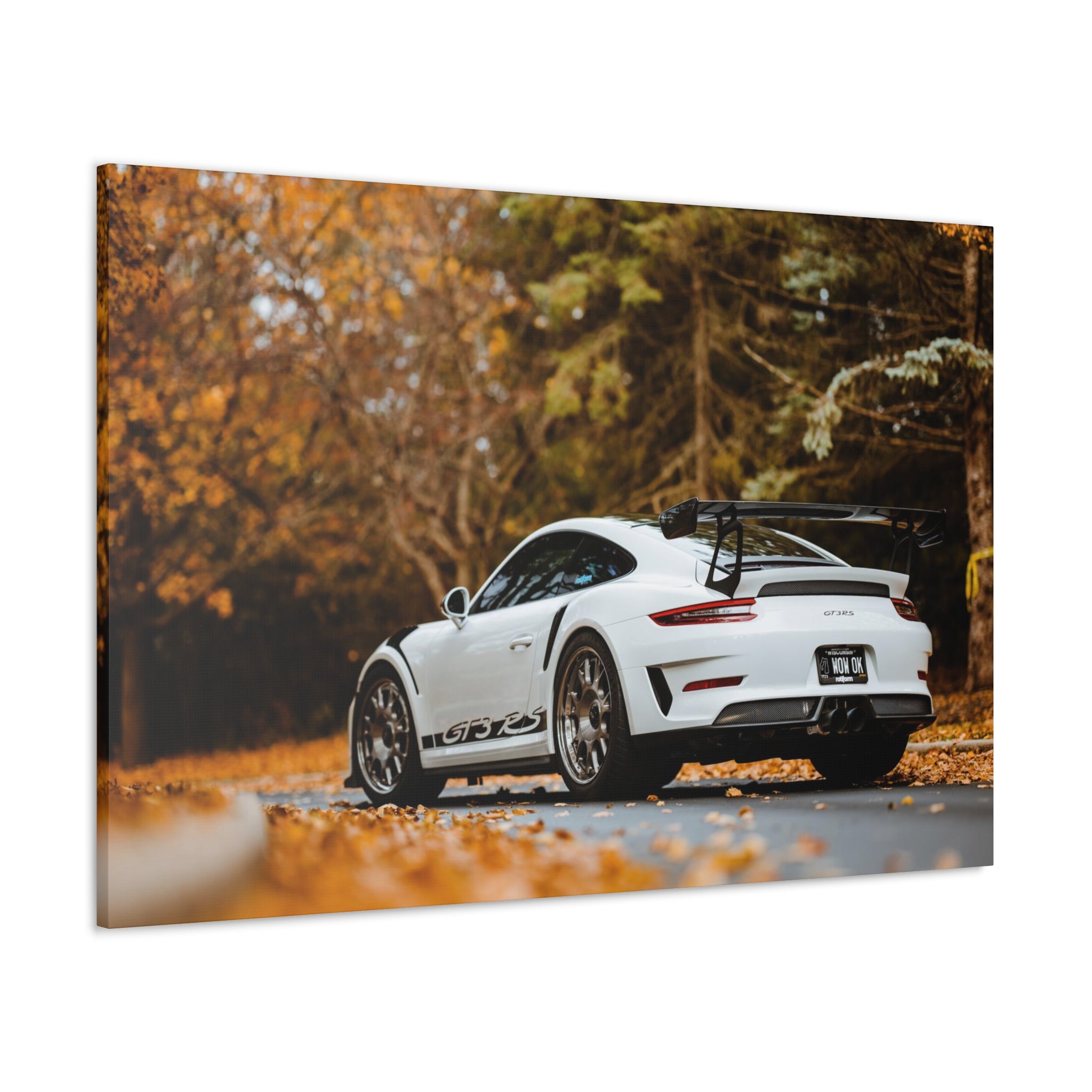 Porsche 991 GT3RS Weissach Canvas