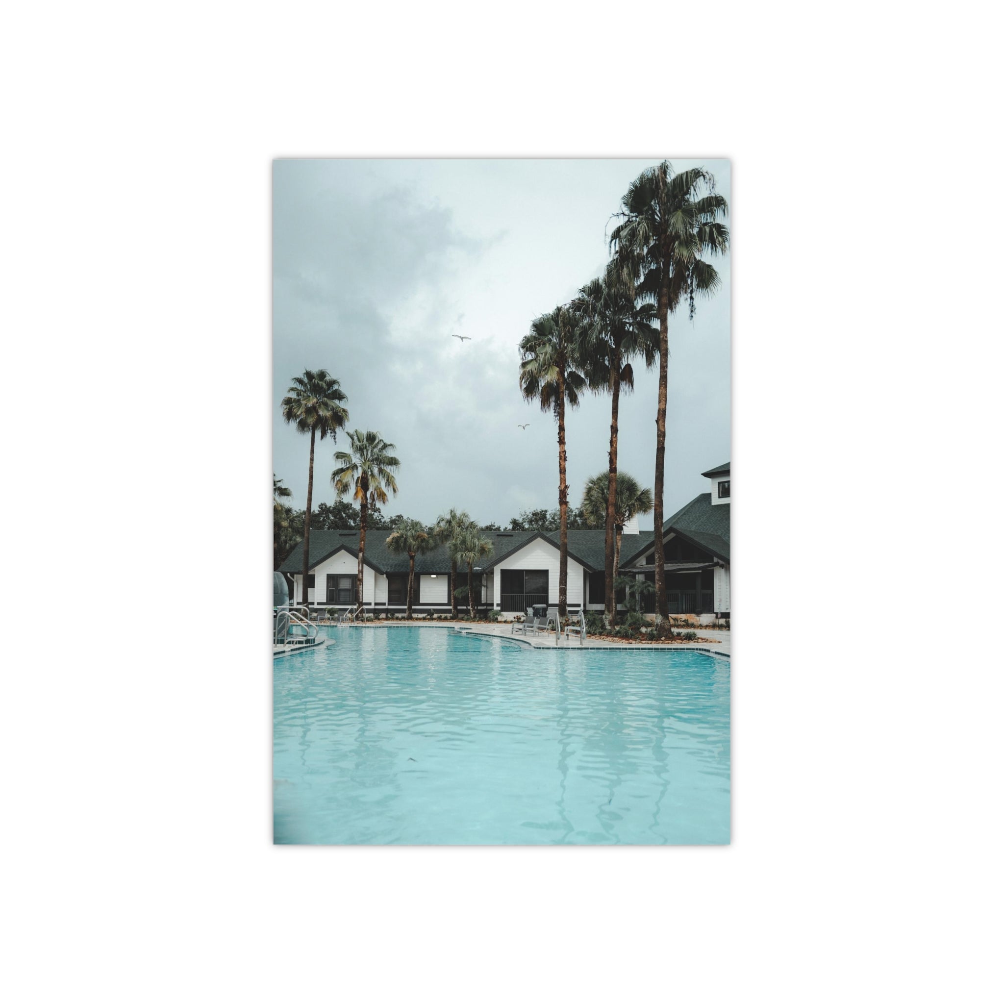 Poolside - Tampa
