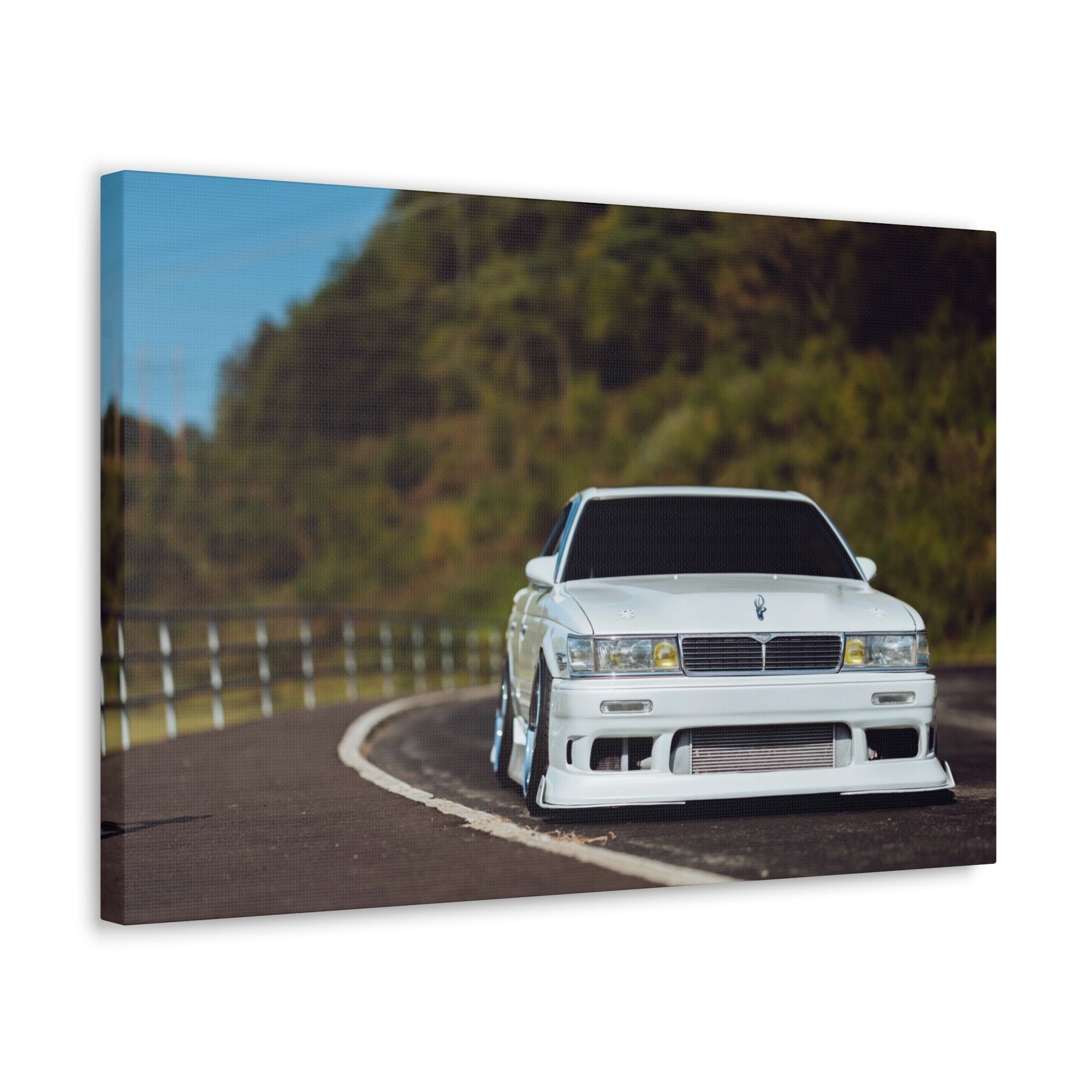 Richy's Laurel Canvas