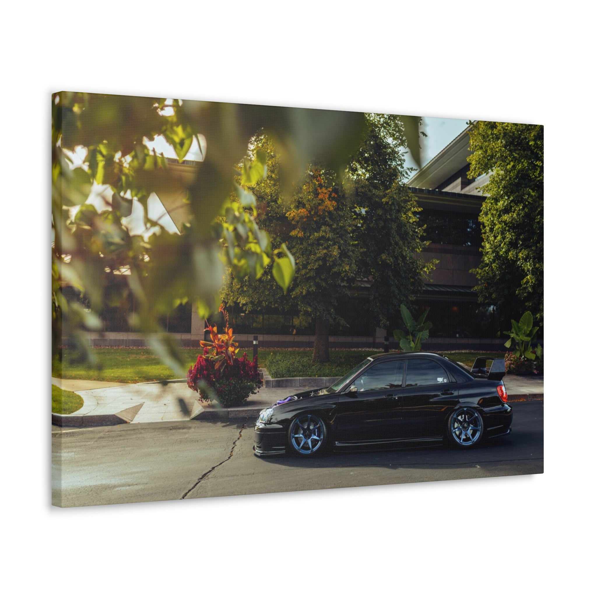 Wirtz STI Canvas