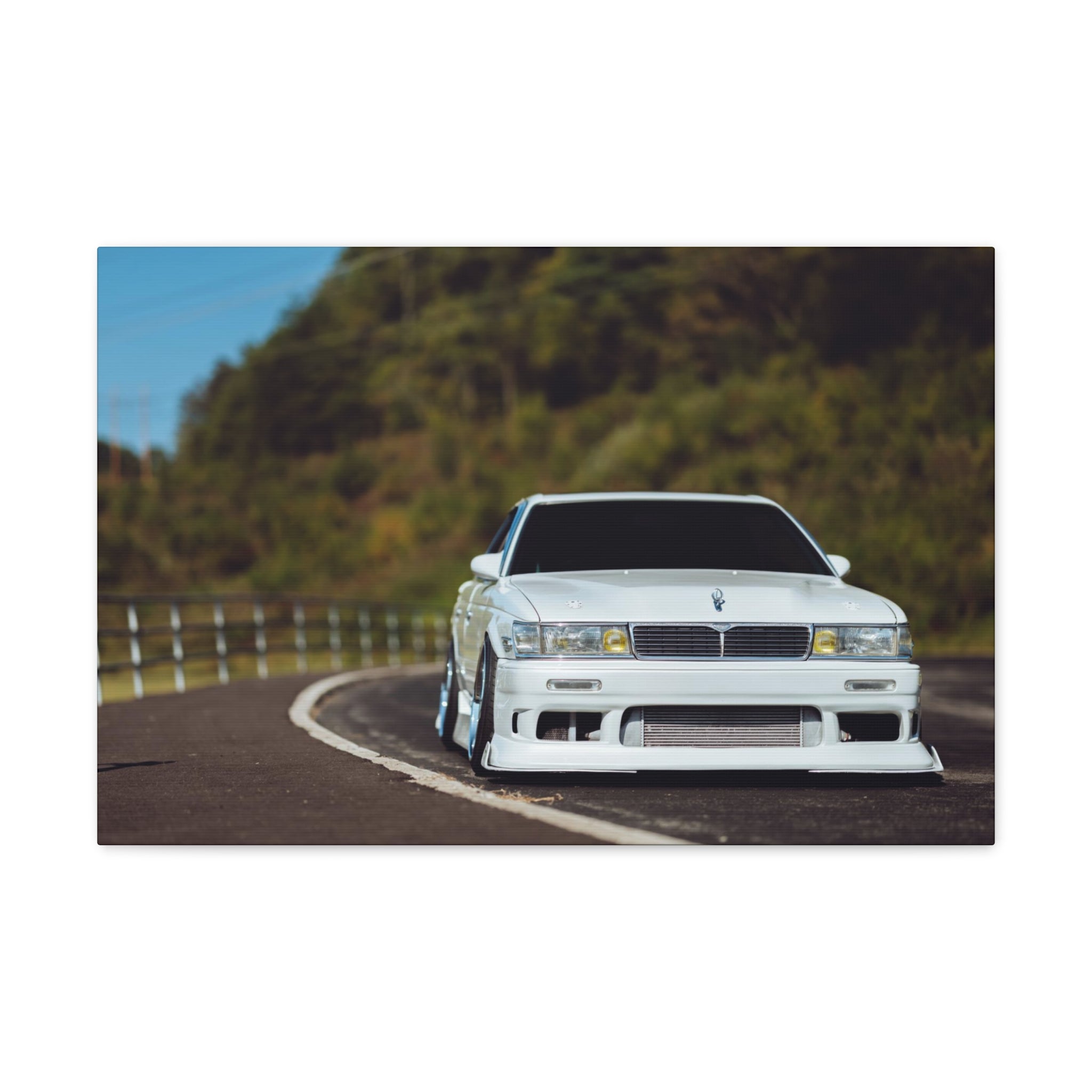 Richy's Laurel Canvas